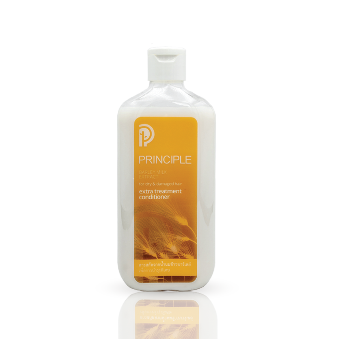 คอนดิชันเนอร์ เอ๊กซ์ตร้า ทรีทเม้นท์ – Principle